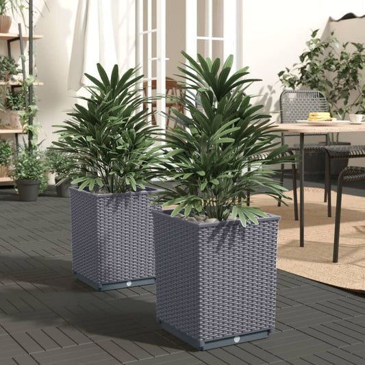 Planters 2 pcs Dark Gray 11.8"x11.8"x14.6" Polypropylene