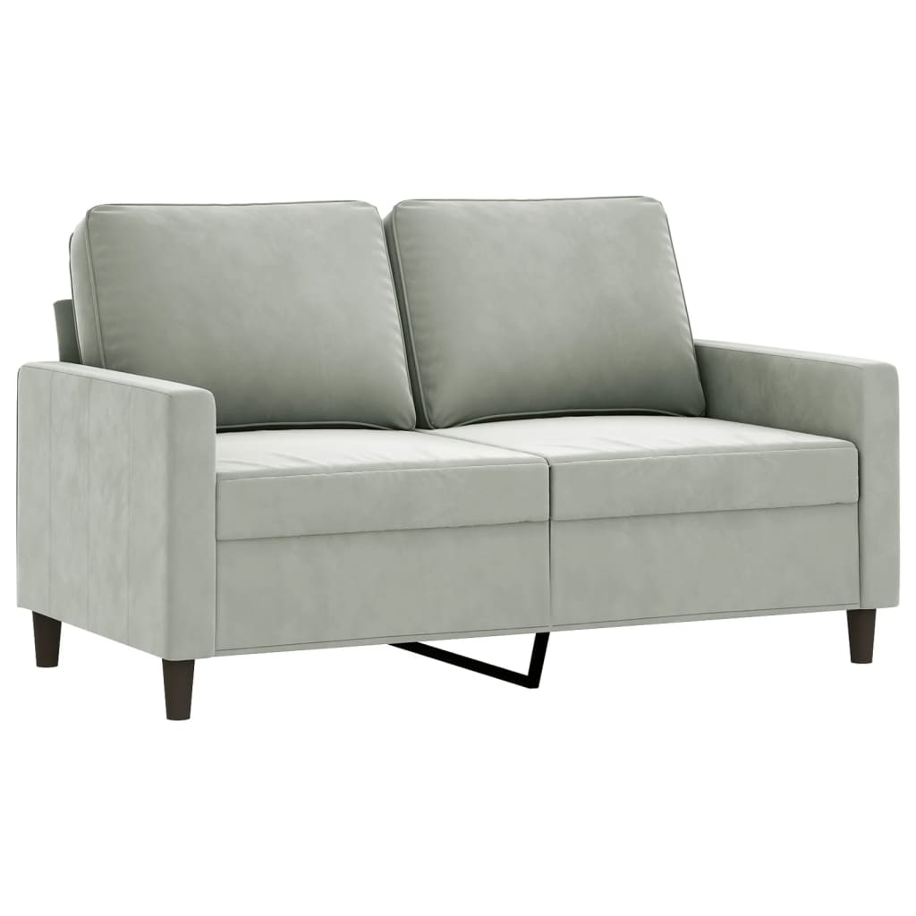 2 Piece Sofa Set with Cushions Light Gray Velvet