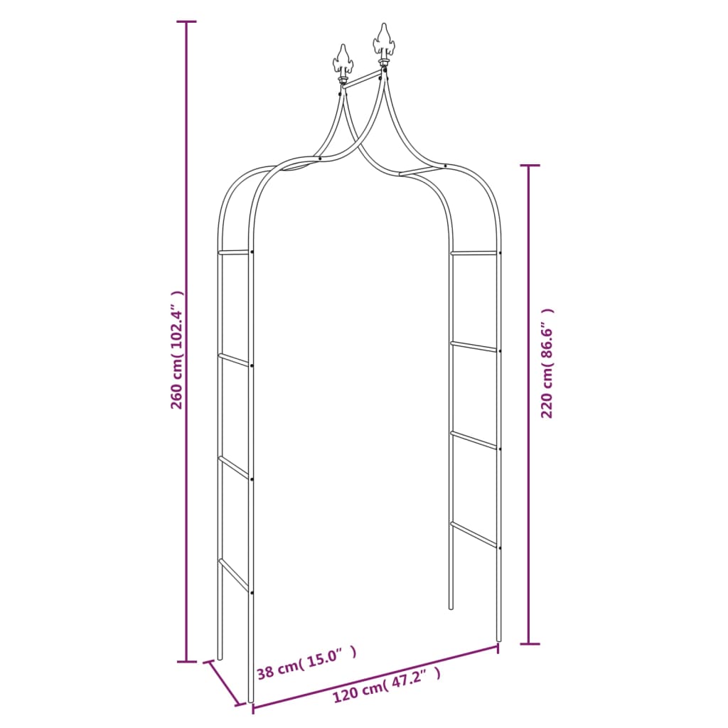 Garden Arches 2 pcs Black 47.2"x15"x102.4" Steel