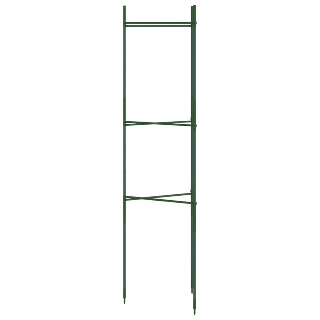 vidaXL Tomato Cage 2 pcs 116 cm Steel and PP