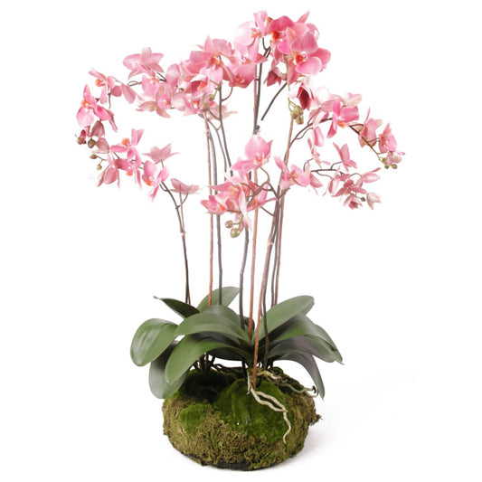 emerald-artificial-phalaenopsis-with-moss-pink-75-cm-417662-919882 At Willow and Wine!