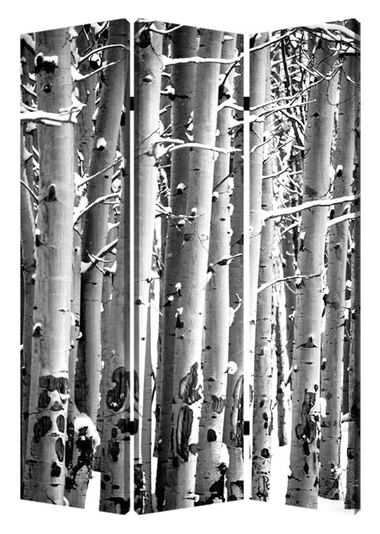 48" X 72" Gray And White Wood Canvas Birch  Screen