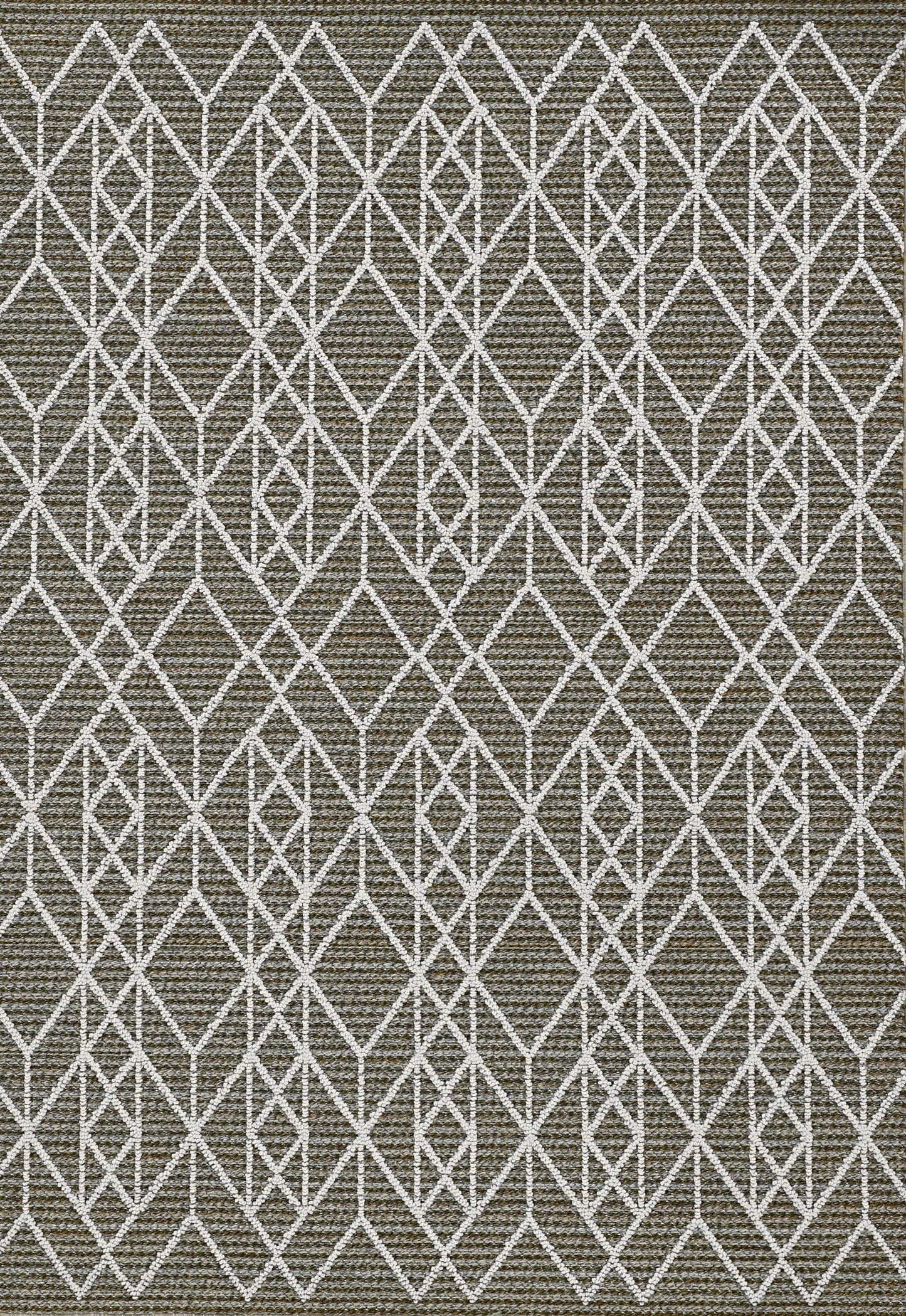 4' X 6' Gray Southwestern Indoor Outdoor Area Rug