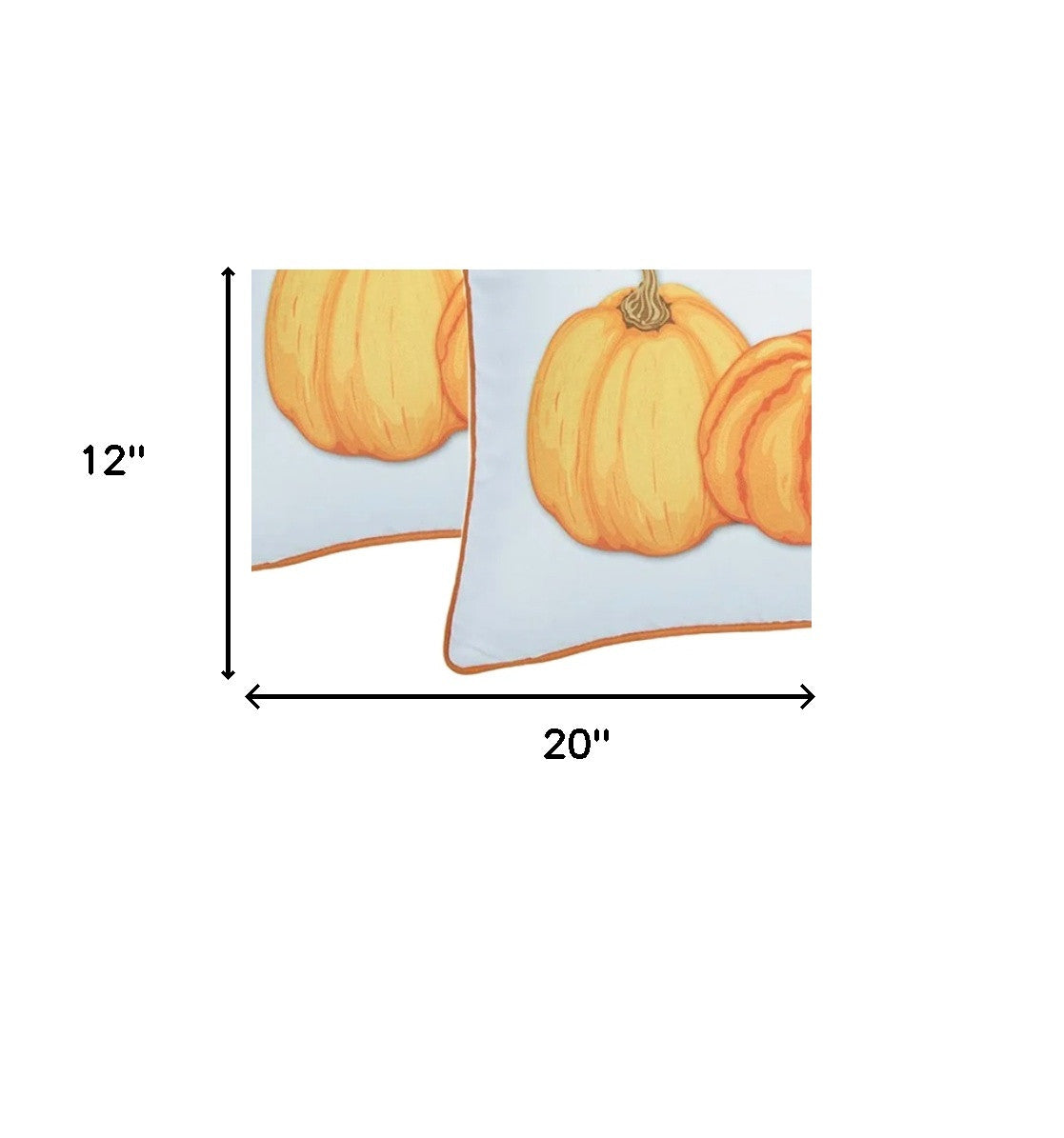 Set Of 2 20" Thanksgiving Pumpkin Throw Pillow Cover In Multicolor