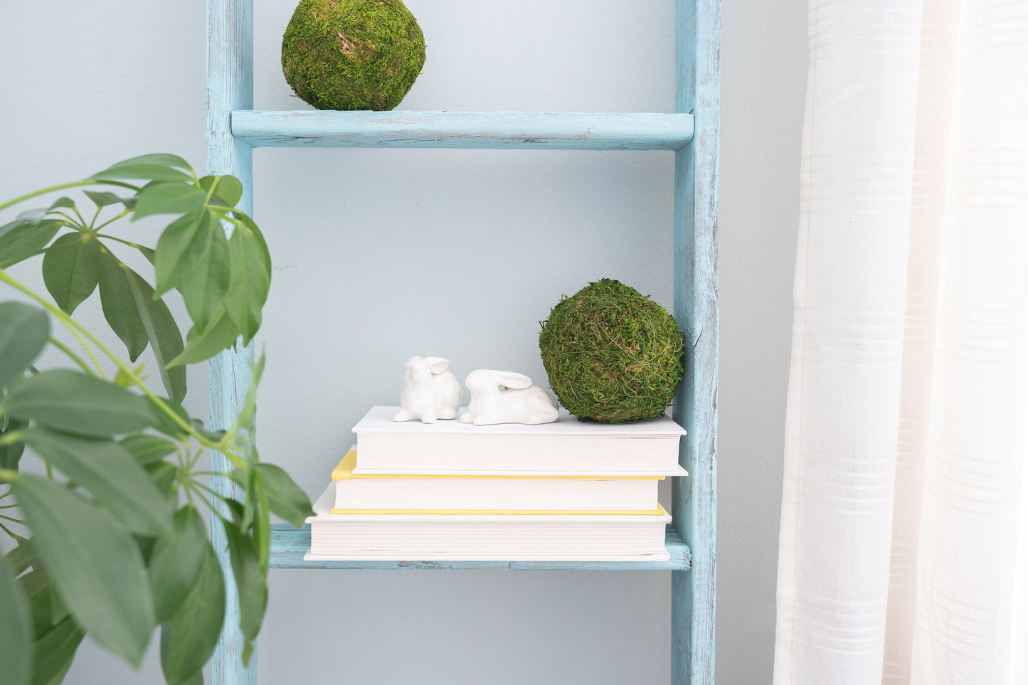 5 Step Rustic Turquoise Wood Ladder Shelf