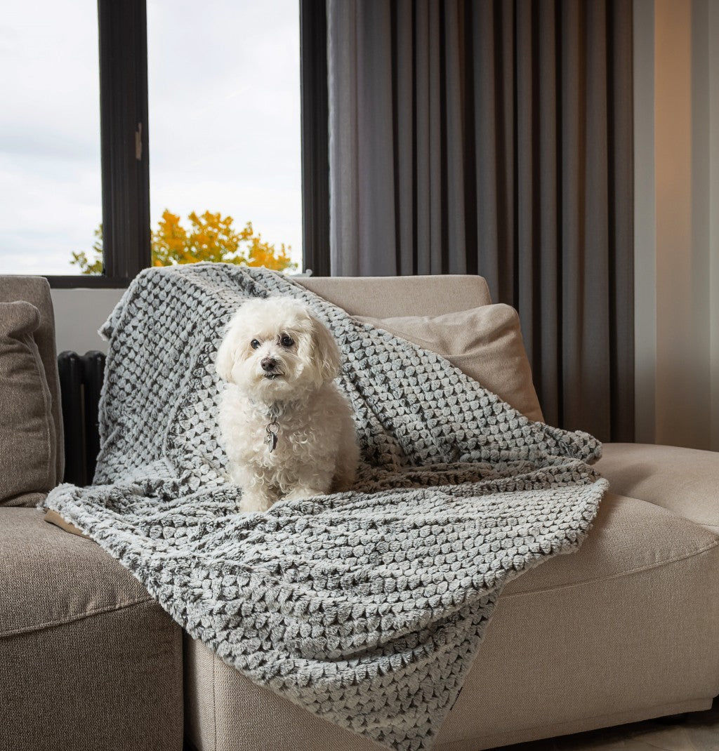 Brown Faux Fur Ombre Plush Throw