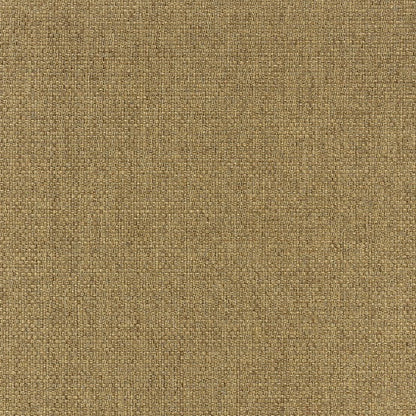 2' X 4' Tan Indoor Outdoor Area Rug