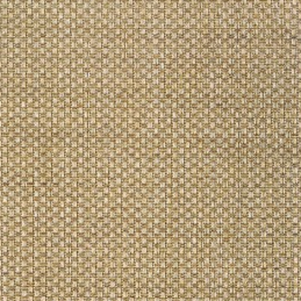 4' X 6' Beige Indoor Outdoor Area Rug