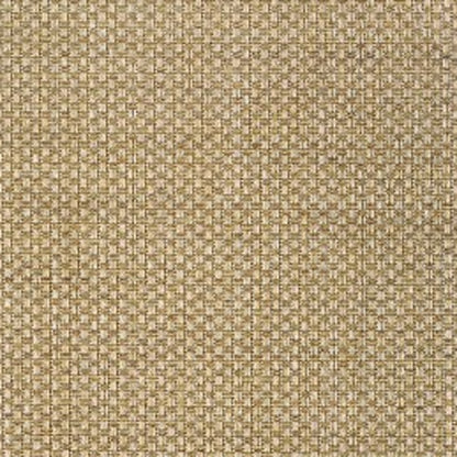 4' X 6' Beige Indoor Outdoor Area Rug