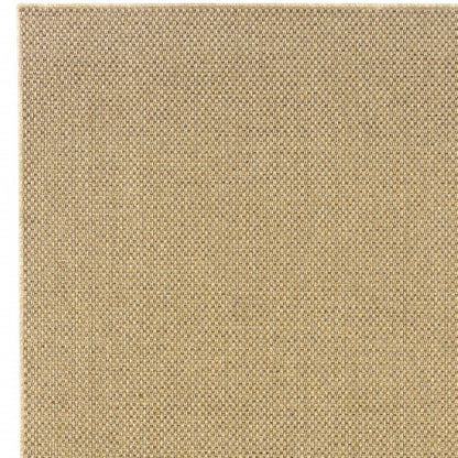 4' X 6' Beige Indoor Outdoor Area Rug