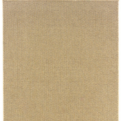 4' X 6' Beige Indoor Outdoor Area Rug