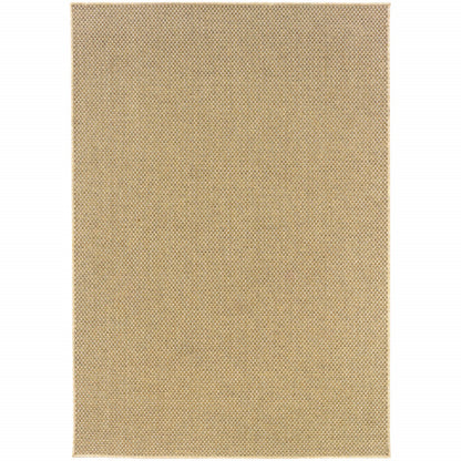 4' X 6' Beige Indoor Outdoor Area Rug