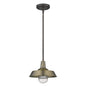 Brushed Gold Shallow Plate Adjustable Pendant Light