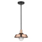 Shiny Copper Shallow Plate Adjustable Pendant Light