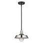 Silver Shallow Plate Adjustable Pendant Light