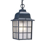 Matte Black Window Pane Lantern Hanging Light