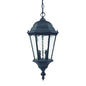 Two Light Matte Black Carousel Lantern Hanging Light