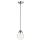 Silver Metal Hanging with Round Clear Glass Shade