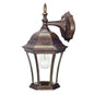 Dark Brown Hanging Carousel Lantern Wall Light