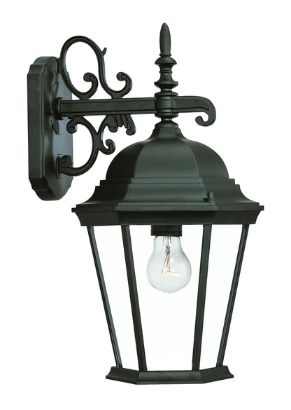 Matte Black Domed Glass Hanging Lantern Wall Light