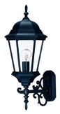 Matte Black Domed Glass Lantern Wall Light