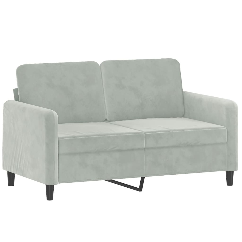 2 Piece Sofa Set Light Gray Velvet