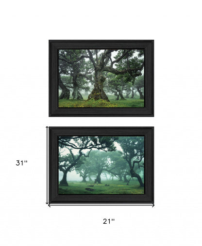 Set Of Two Enchanted Forest 2 Black Framed Print Wall Art