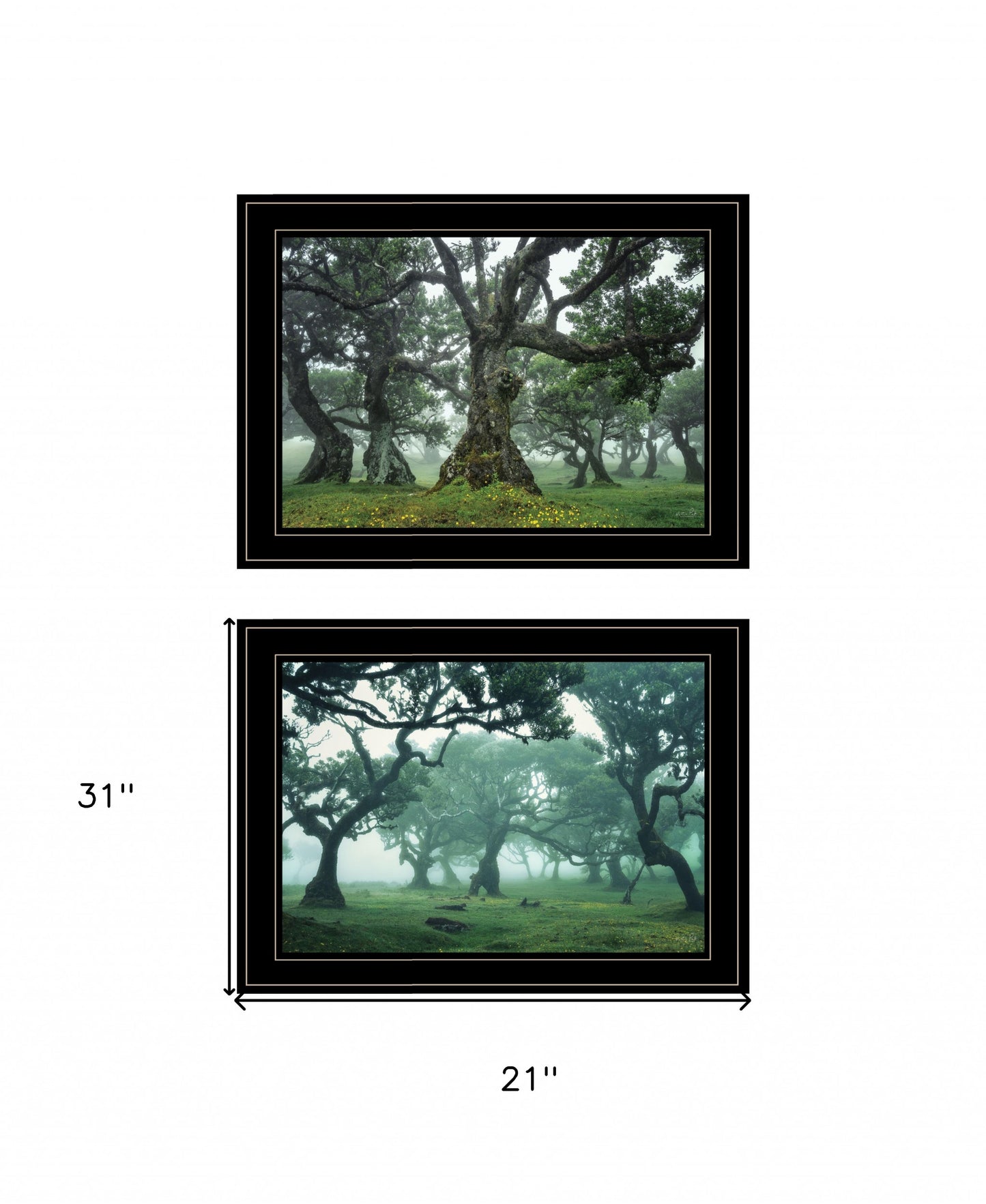 Set Of Two Enchanted Forest 2 Black Framed Print Wall Art