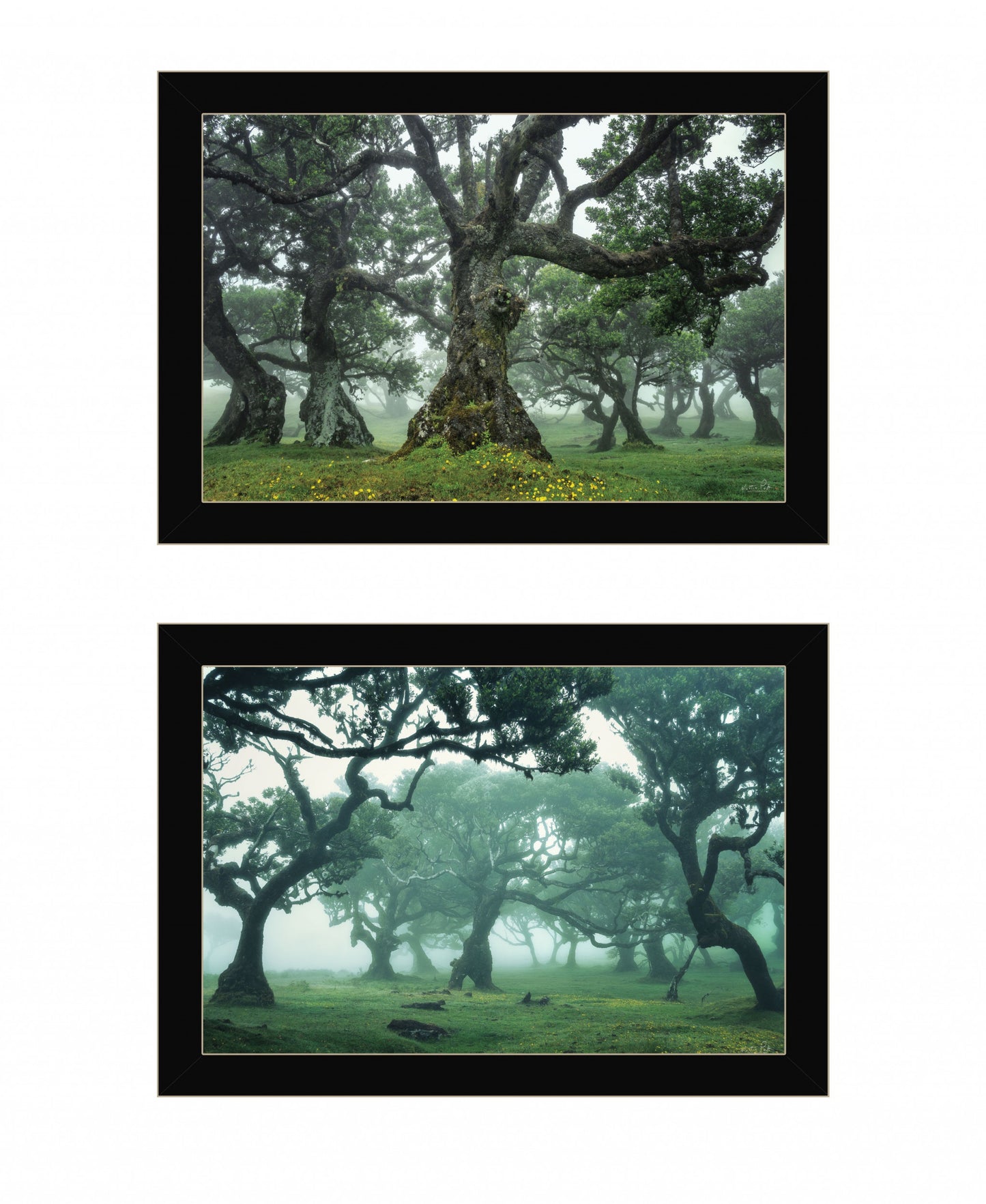 Set Of Two Enchanted Forest 2 Black Framed Print Wall Art