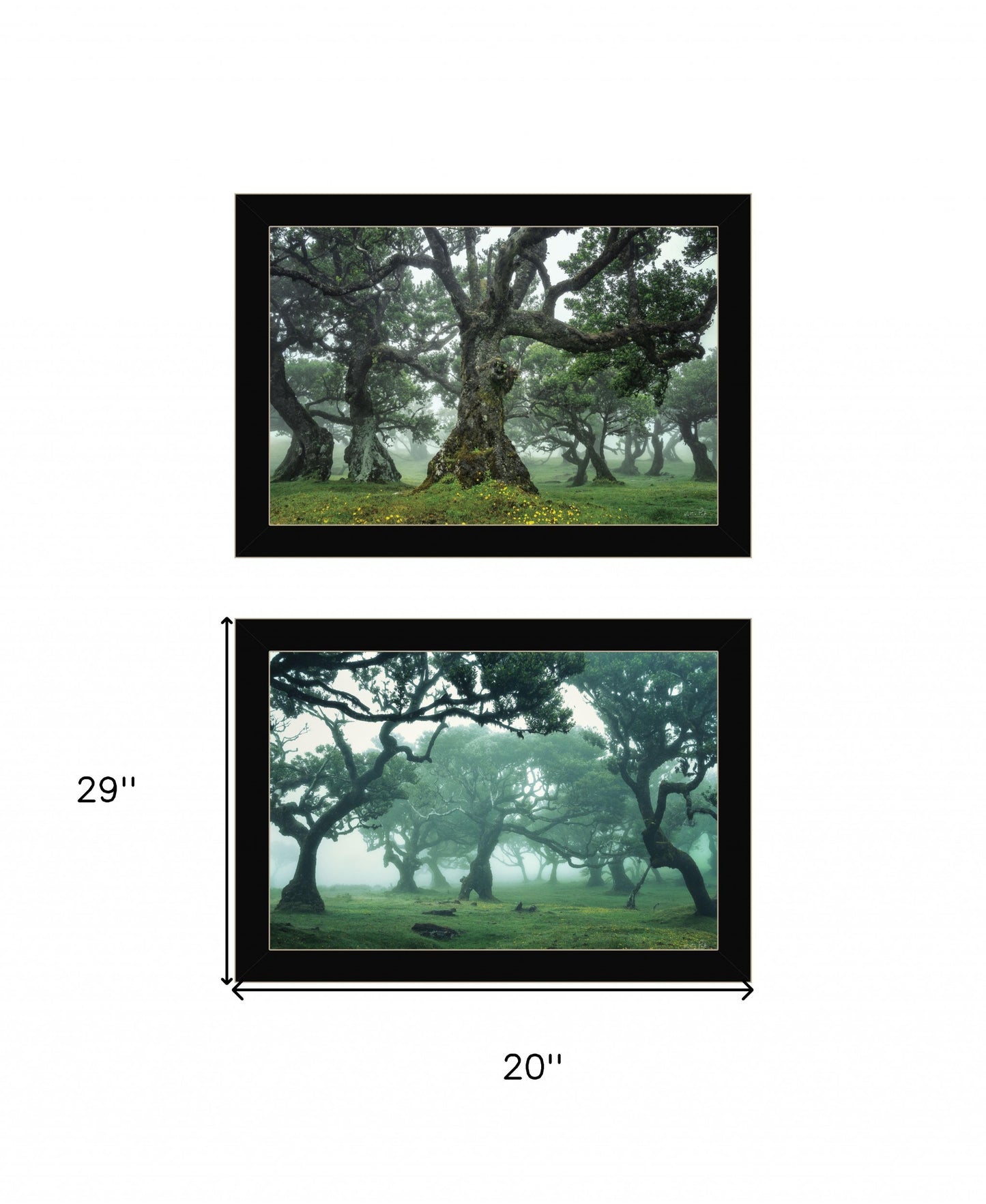 Set Of Two Enchanted Forest 2 Black Framed Print Wall Art