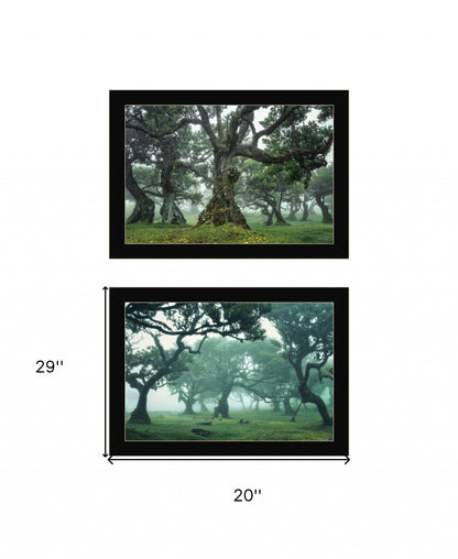 Set Of Two Enchanted Forest 2 Black Framed Print Wall Art