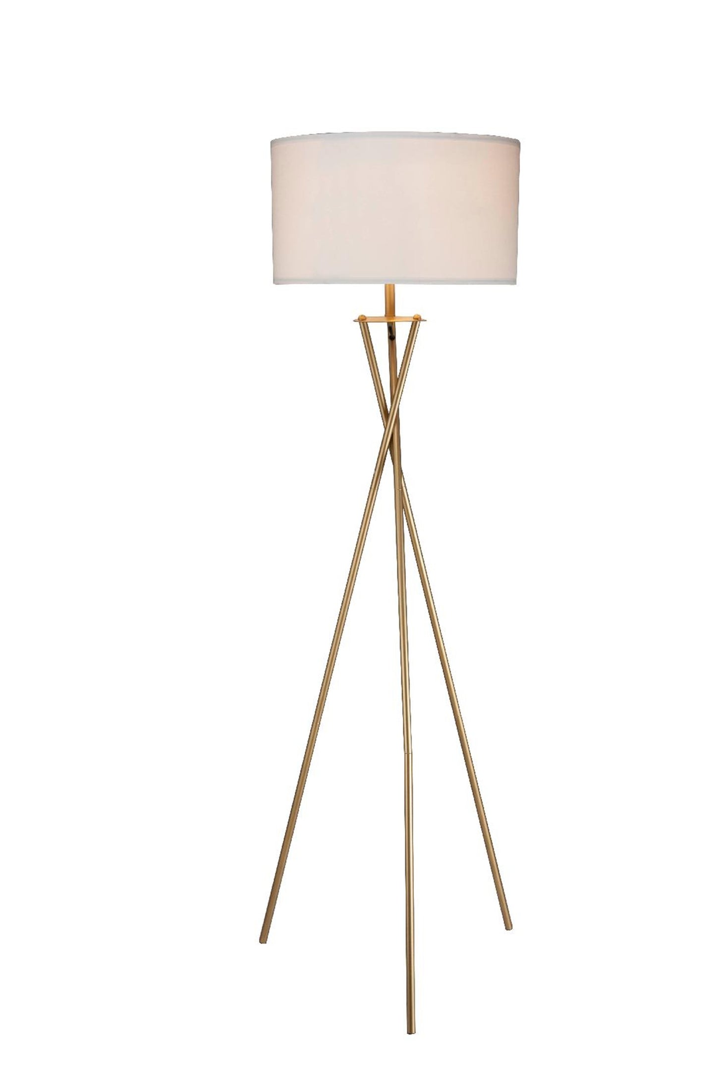 Minimalist Gold Metal Floor Lamp