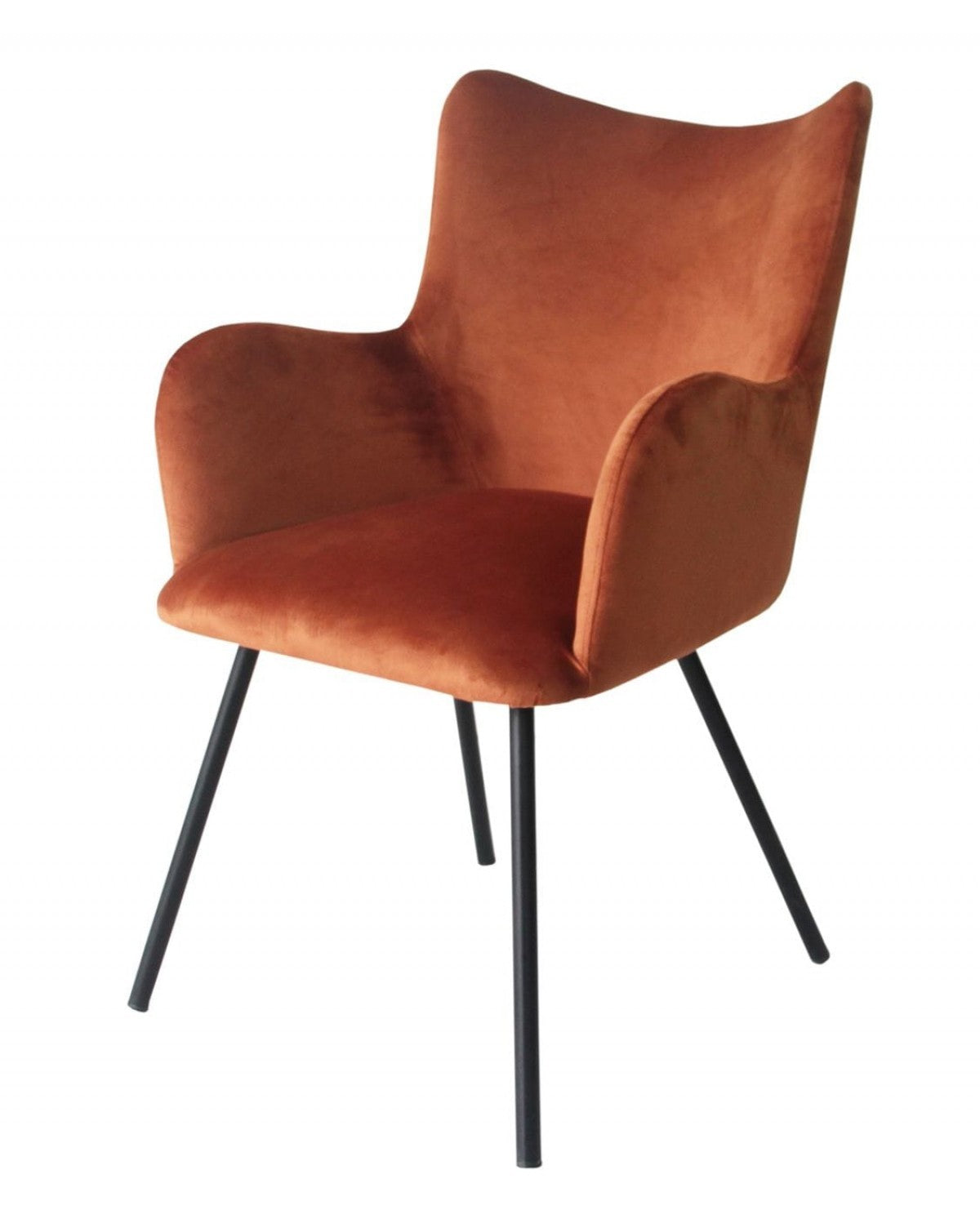 Rust Orange Curvy Velvet and Black Modern Dining Chair