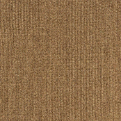 Tan Stain Resistant Indoor Outdoor Area Rug