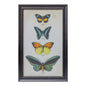 Set Of Two Green Solid Wood Butterfly Wall Decor