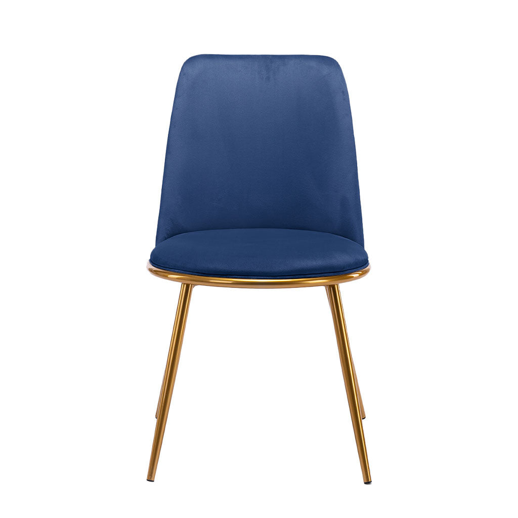 Blue And Gold Velvet and Metal Dining Side Chair