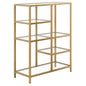 42" Brass Steel and Glass Five Tier Double Bookcase