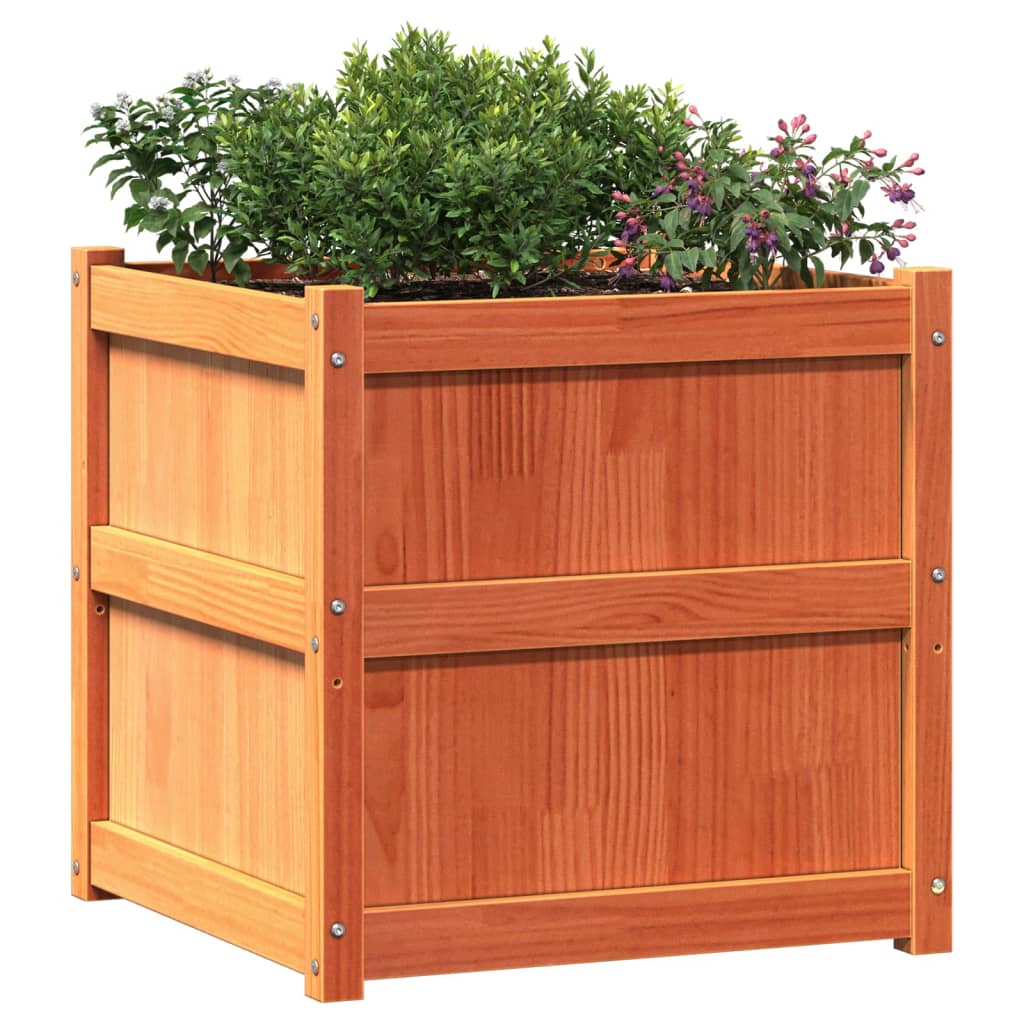 Garden Planter Wax Brown 23.6"x23.6"x23.6" Solid Wood Pine